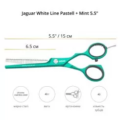 Фото Ножницы филировочные Jaguar White Line Pastell + MINT 5,5 - 4