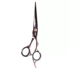 Фото Професійні ножиці для стрижки волосся Sway Art Chocolate 6,00" - 1